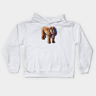 American Cocker Spaniel by Robert Phelps Kids Hoodie